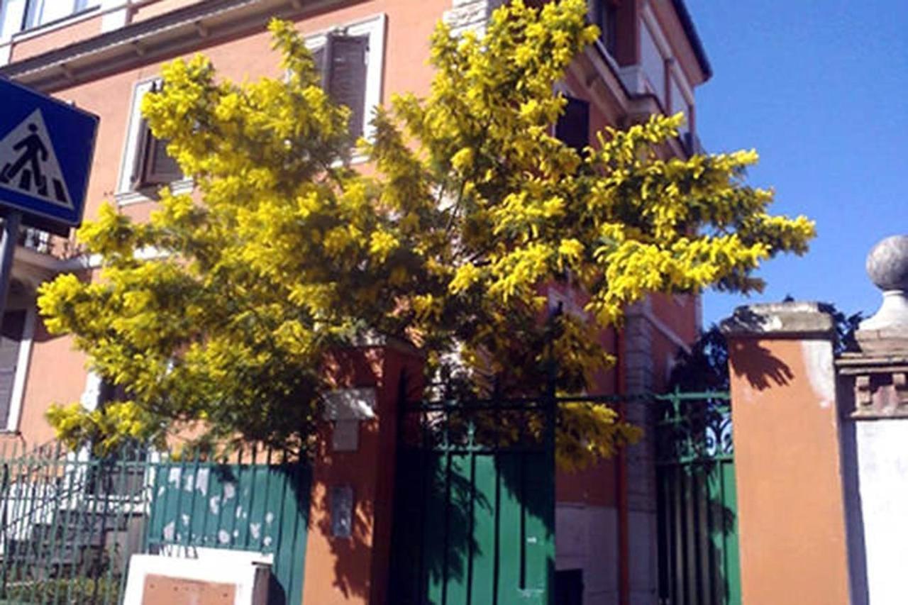 Garden Flat By Vatican Walls Рим Екстер'єр фото